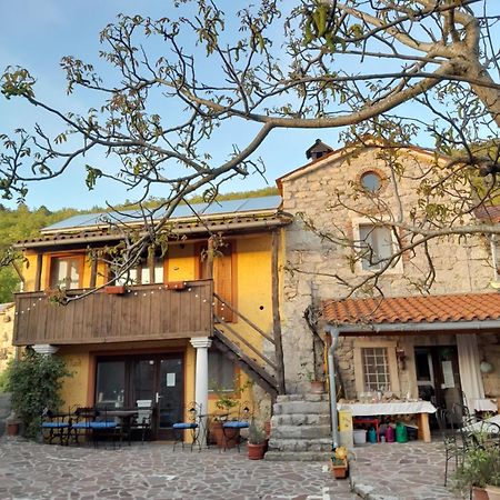 Hostel Xaxid Črni Kal Exterior foto